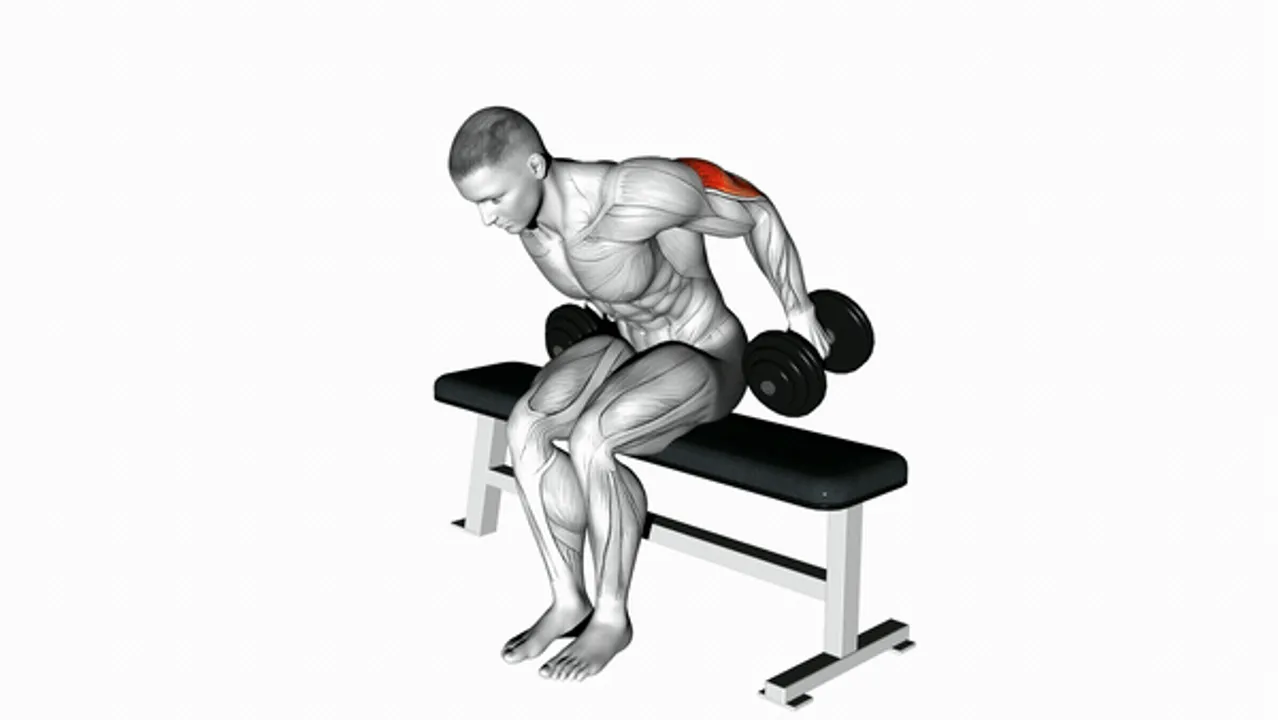 Dumbbell Seated Kickbacks