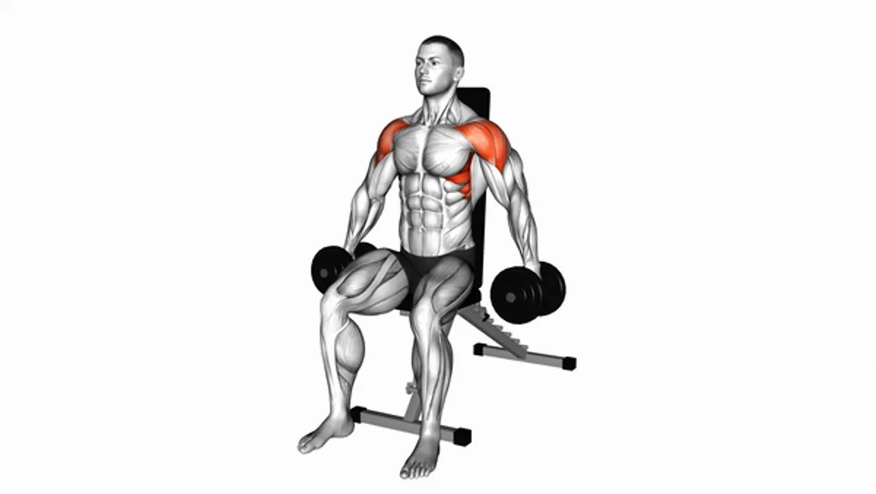 Dumbbell Seated Lateral Raise