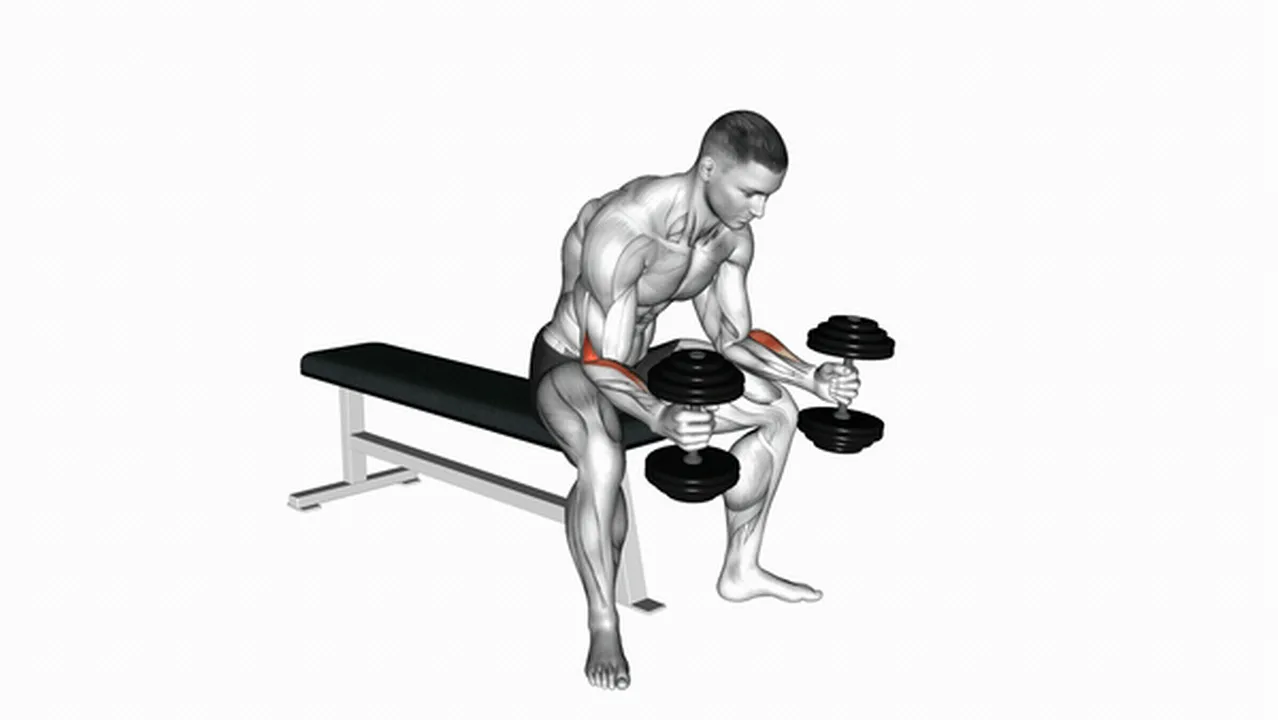 How to do Dumbbell Seated Neutral Wrist Curls? Image