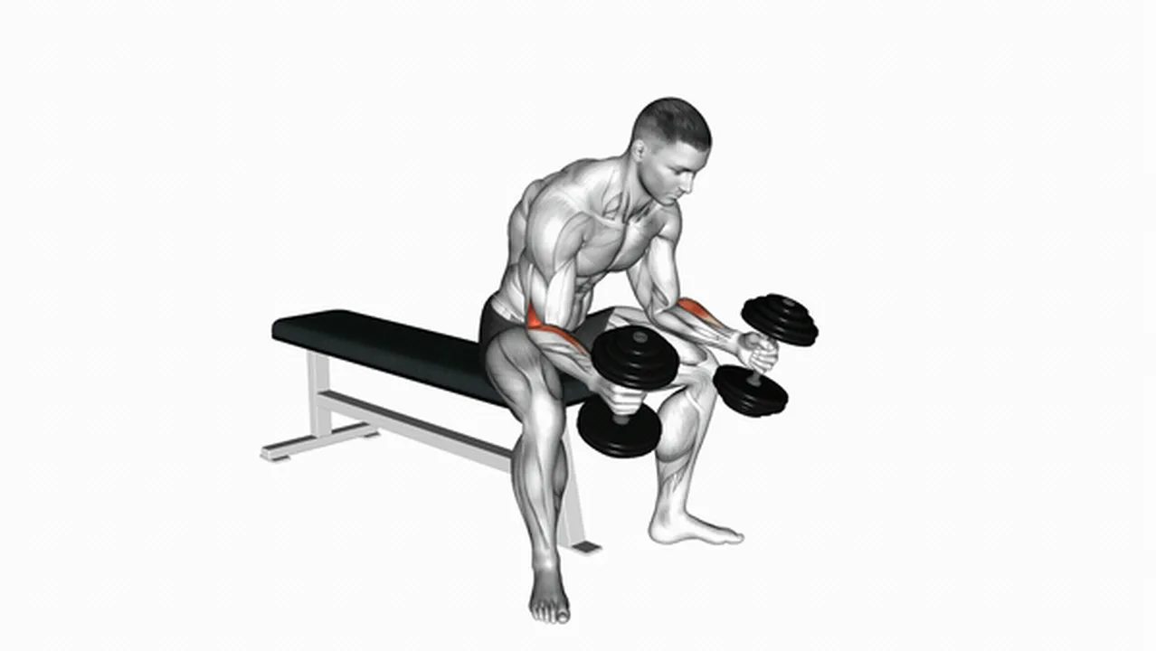 Common Dumbbell Seated Neutral Wrist Curl variations Image