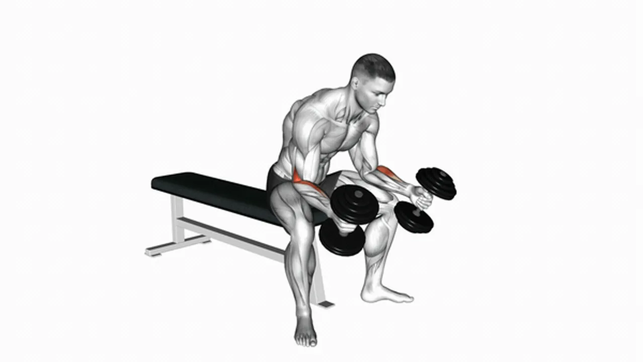 Alternatives to Dumbbell Seated Neutral Wrist Curls Image