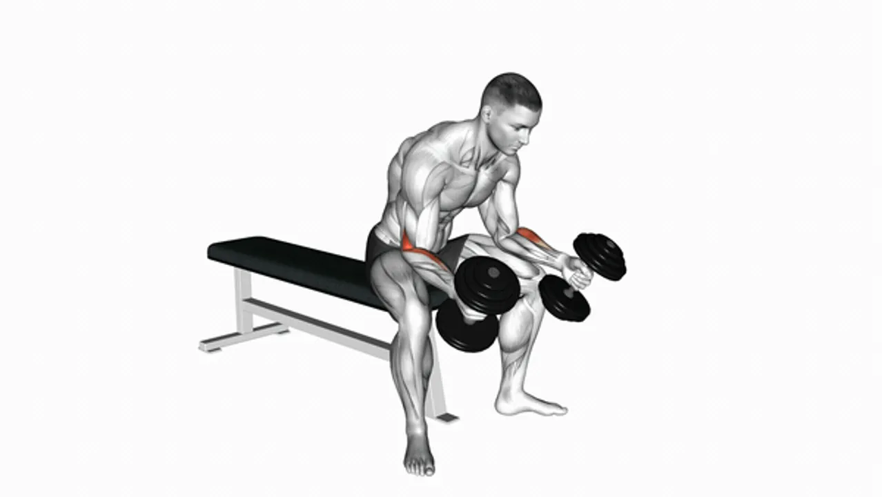 Dumbbell Seated Neutral Wrist Curl