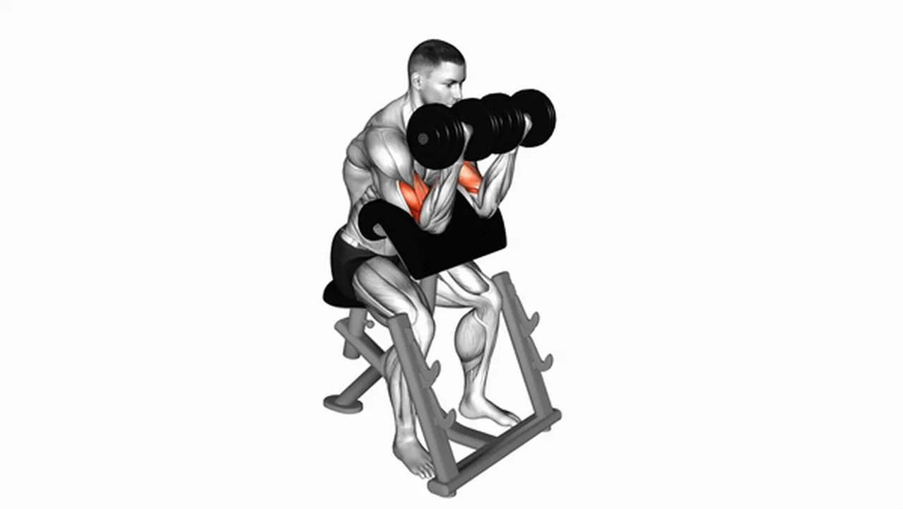 What are the benefits of dumbbell seated preacher curls? Image