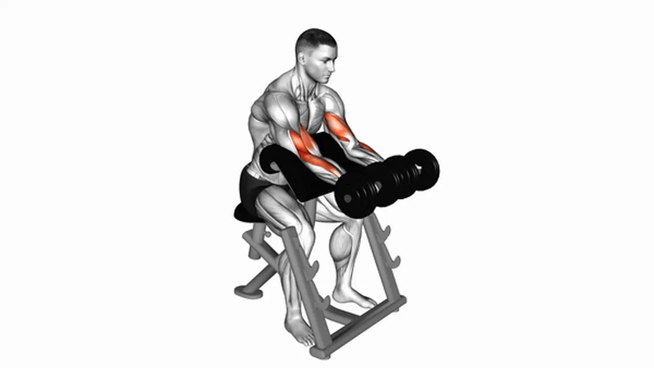 Dumbbell Seated Preacher Curls