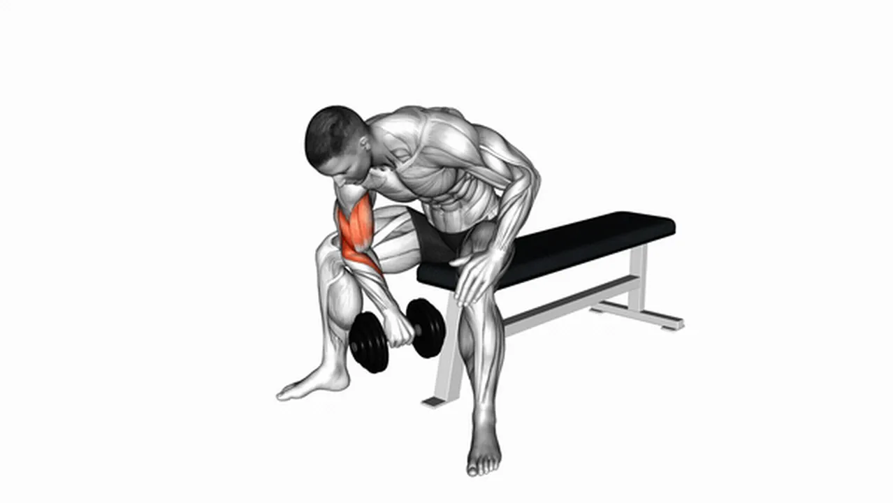 What are the benefits of dumbbell seated reverse grip concentration curls? Image