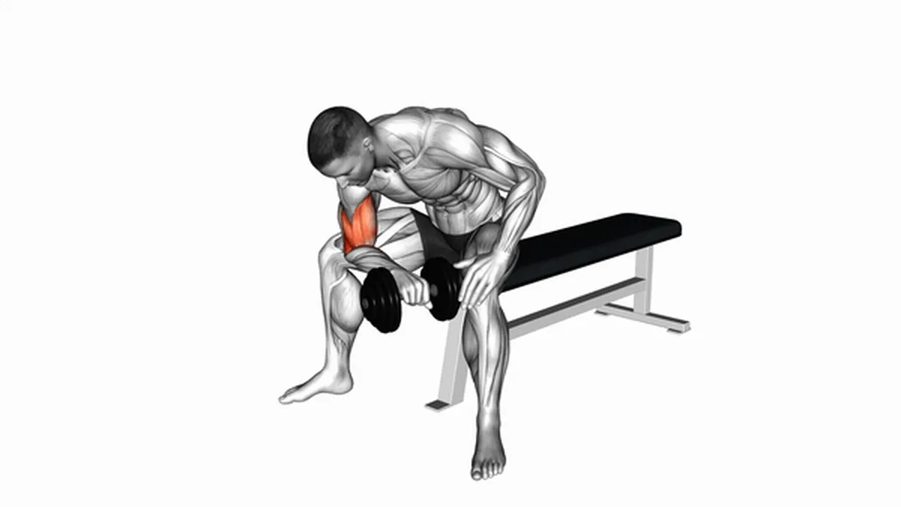 How to do dumbbell seated reverse grip concentration curls? Image