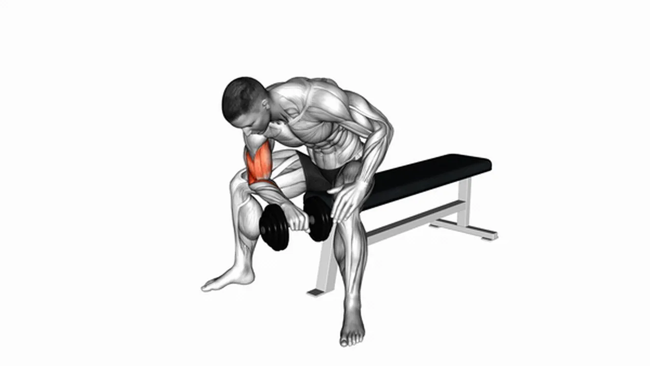 Common variations of dumbbell seated reverse grip concentration curls Image