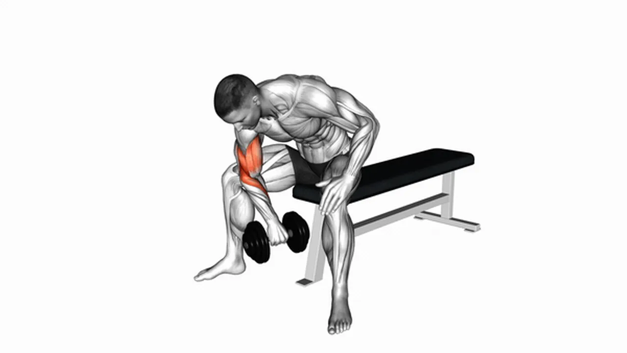 Alternatives to dumbbell seated reverse grip concentration curls Image