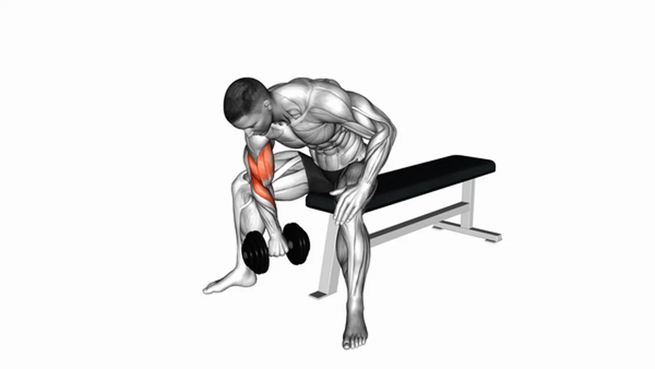 Common mistakes during dumbbell seated reverse grip concentration curls Image