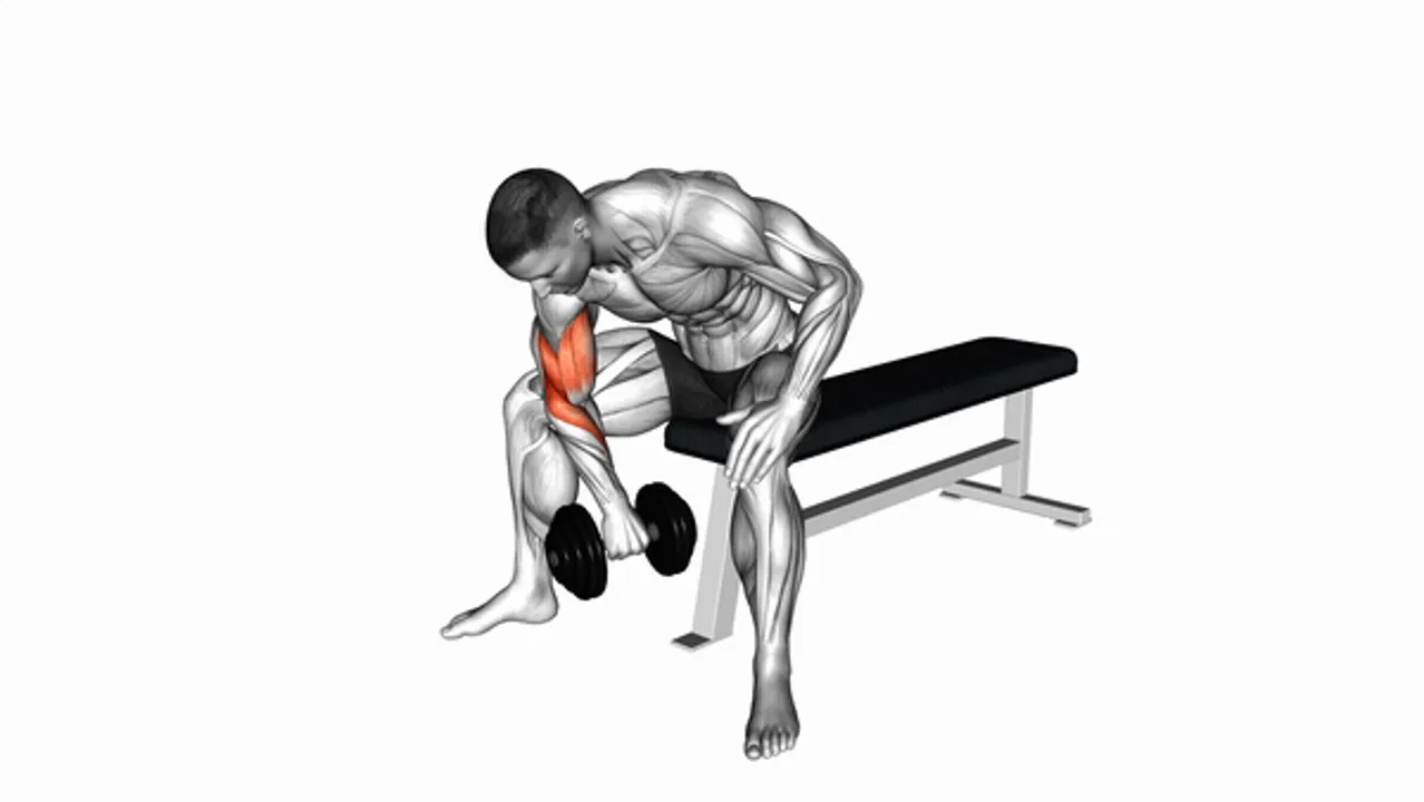 Dumbbell Seated Reverse Grip Concentration Curl