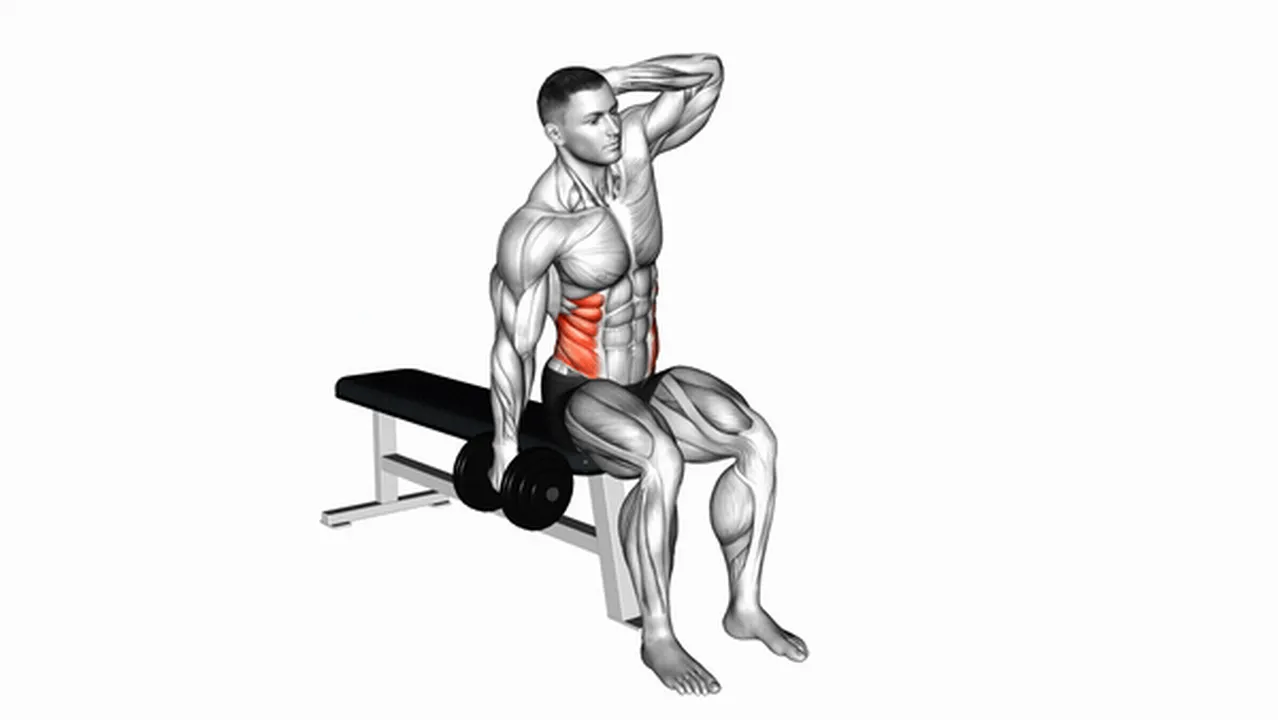 What are the benefits of Dumbbell Seated Side Bends? Image