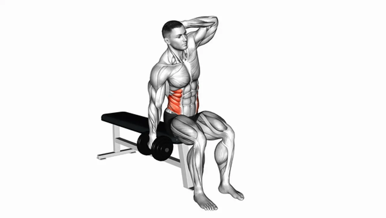 How to do Dumbbell Seated Side Bends? Image