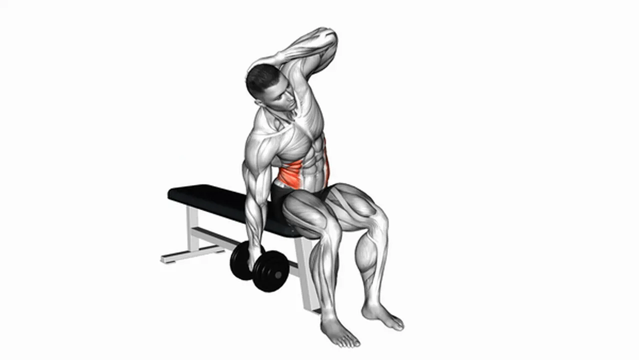 Common variations of Dumbbell Seated Side Bends Image