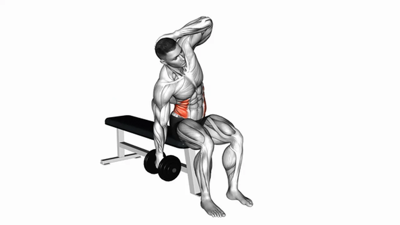 Alternatives to Dumbbell Seated Side Bends Image