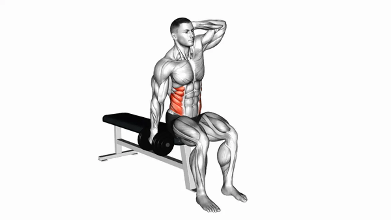 Dumbbell Seated Side Bend