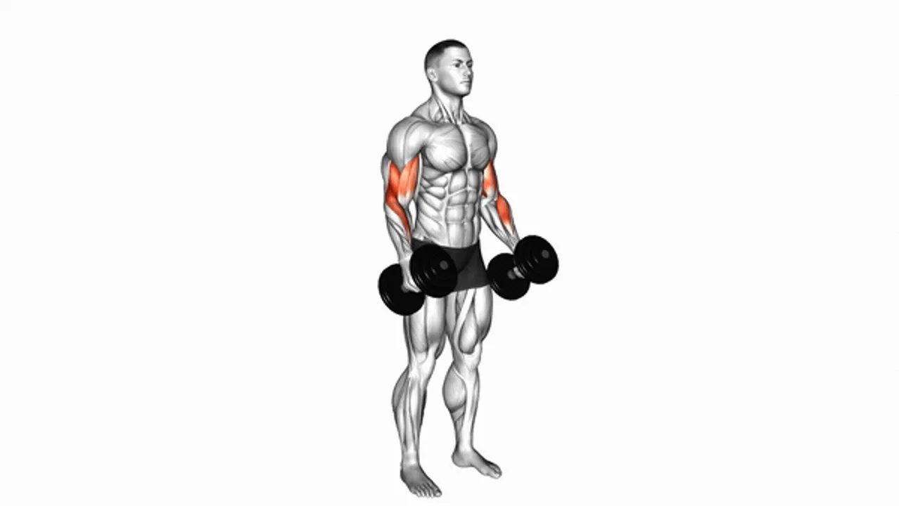 Dumbbell Standing Biceps Curl