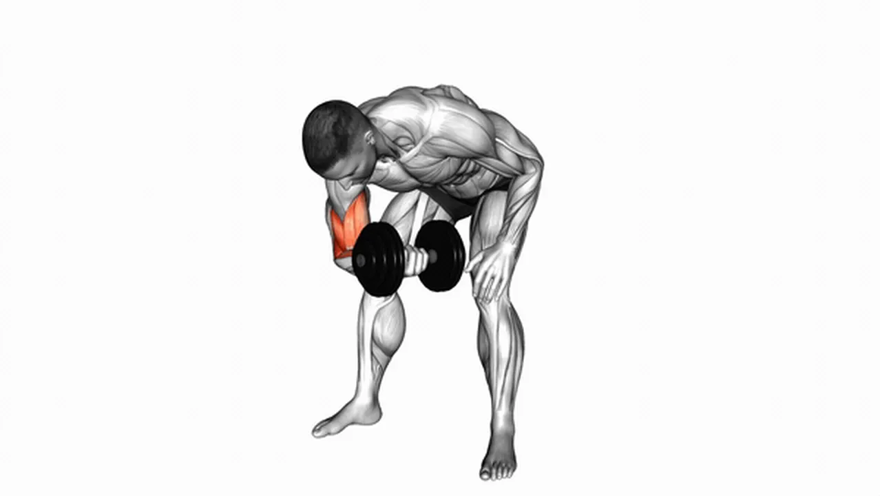 How to do Dumbbell Standing Concentration Curls? Image