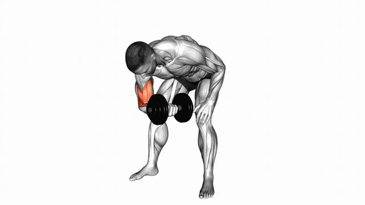 Common Dumbbell Standing Concentration Curl variations Image