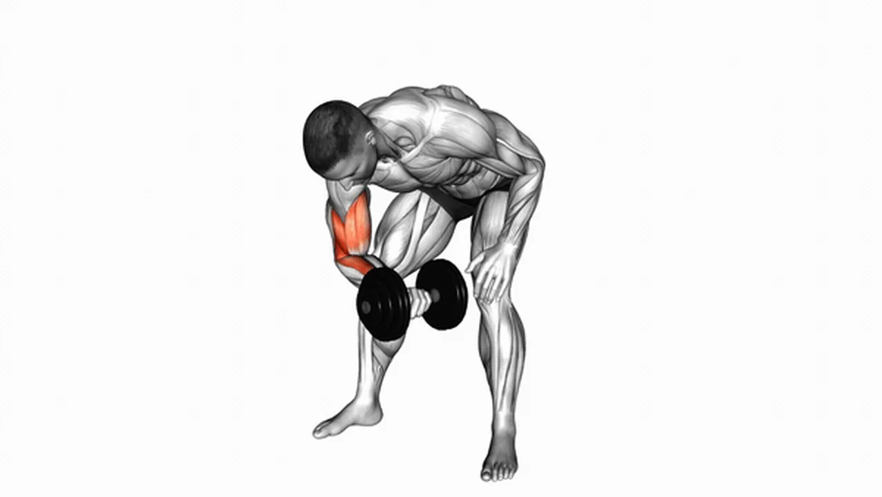 Alternatives to Dumbbell Standing Concentration Curls Image