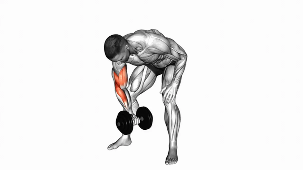 Common mistakes during Dumbbell Standing Concentration Curls Image