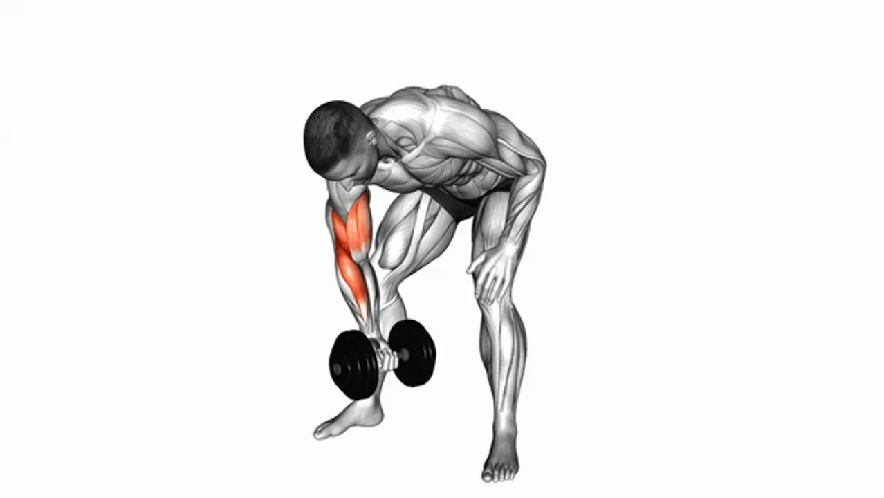 Dumbbell Standing Concentration Curl