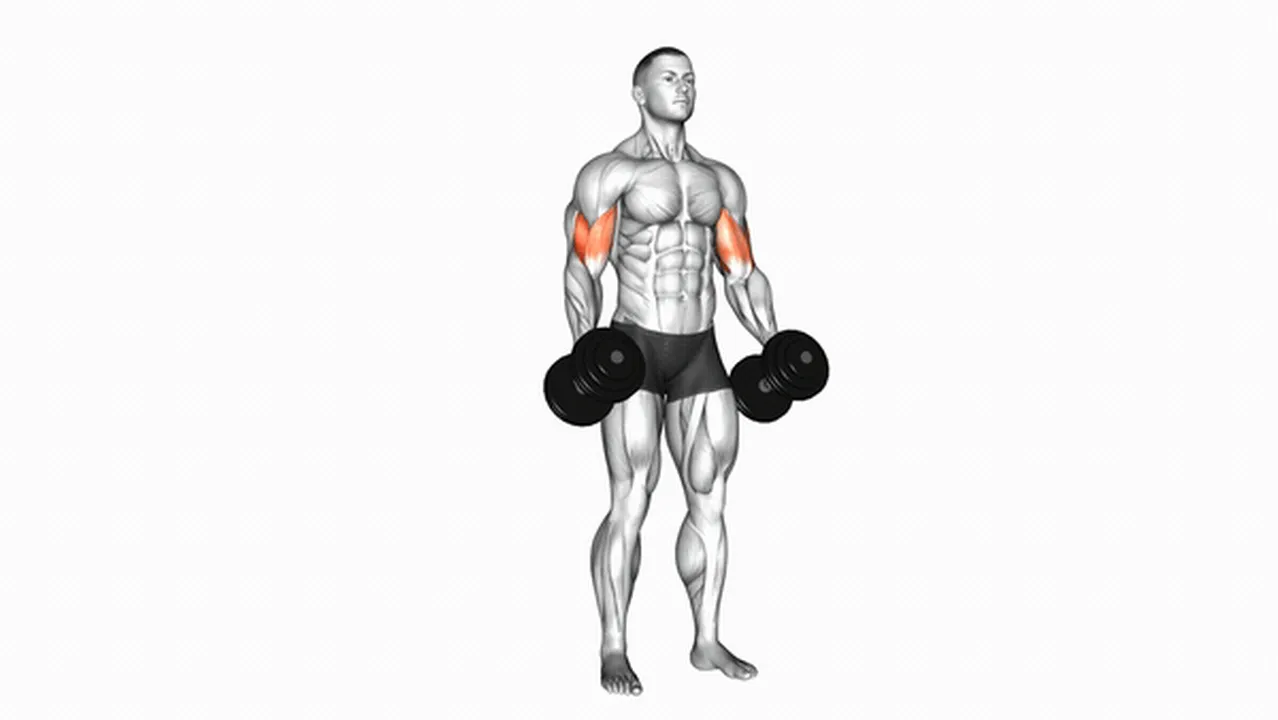 What are the benefits of Dumbbell Standing Inner Biceps Curls? Image