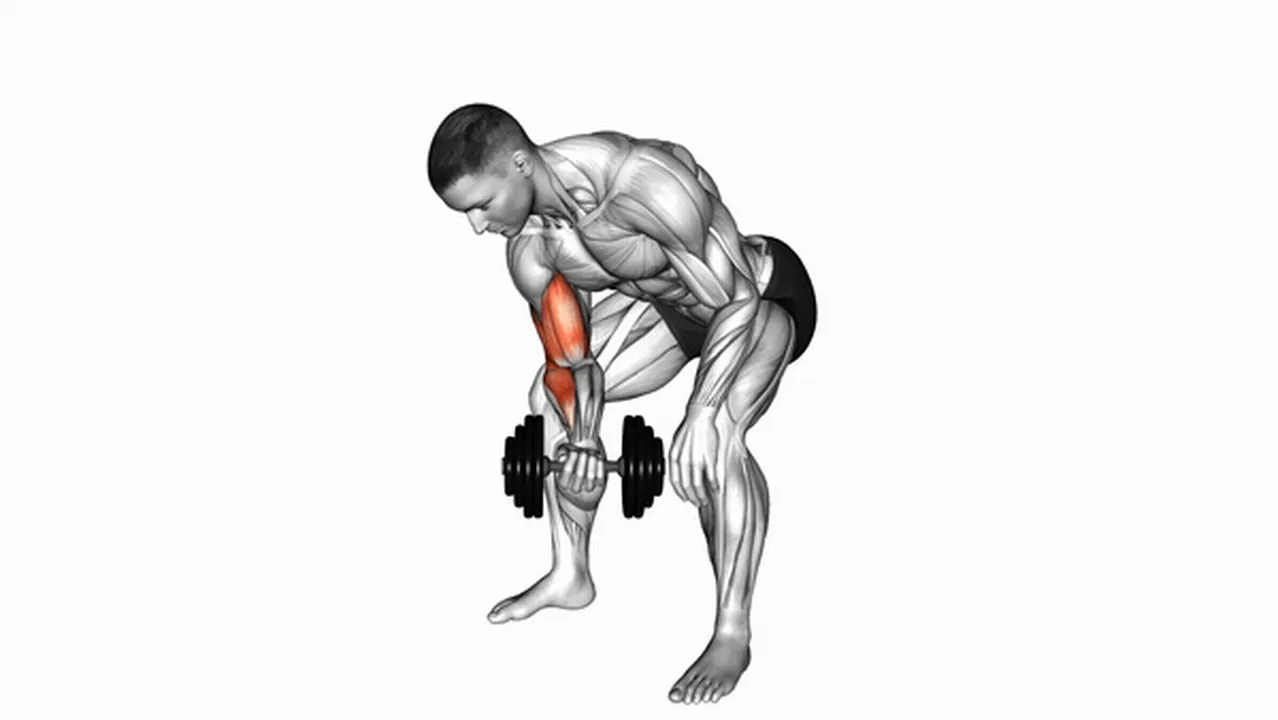 Common Dumbbell Standing One Arm Concentration Curl variations Image