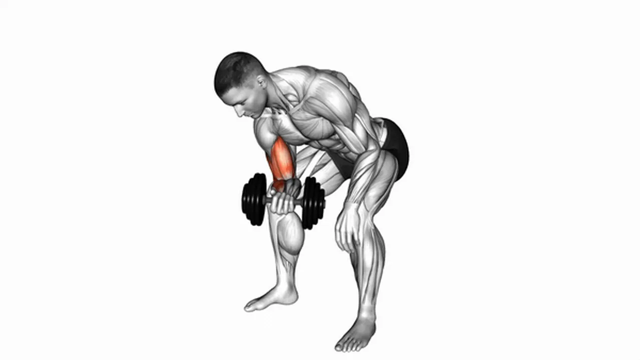 Alternatives to Dumbbell Standing One Arm Concentration Curls Image