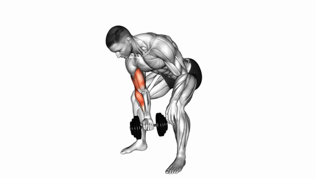 Dumbbell Standing One Arm Concentration Curl