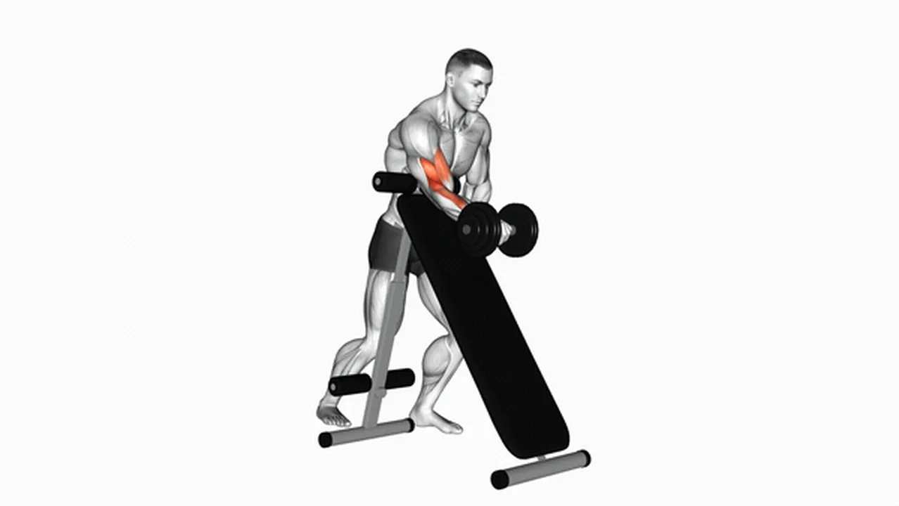 What are the benefits of dumbbell standing one-arm curls? Image