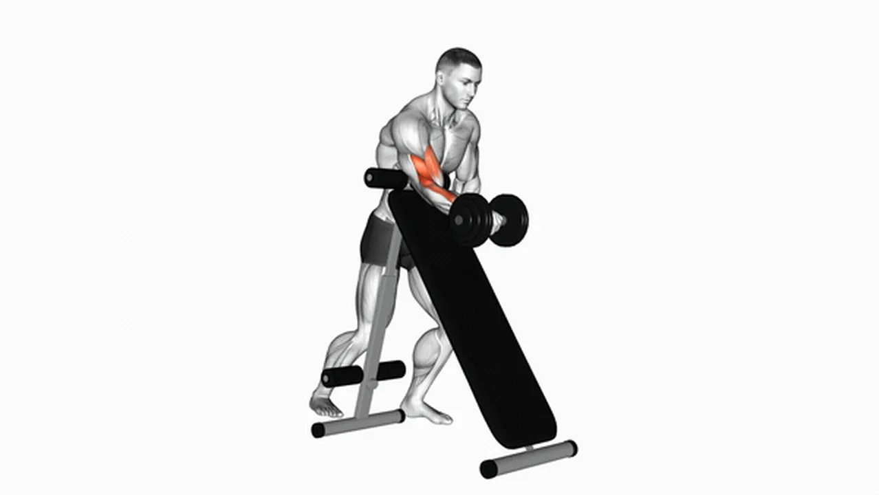 How to do dumbbell standing one-arm curls? Image