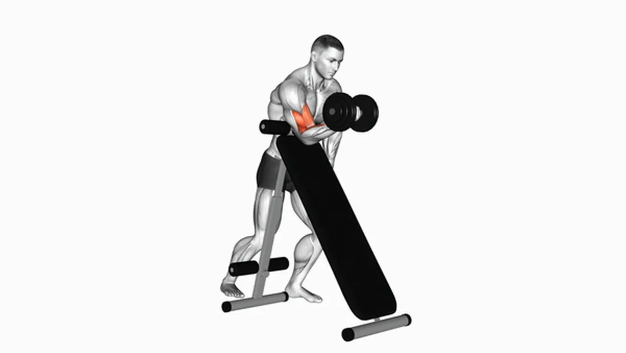 Common dumbbell standing one-arm curl variations Image