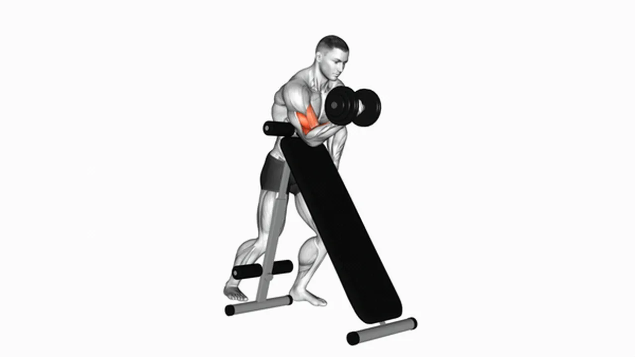 Alternatives to dumbbell standing one-arm curls Image