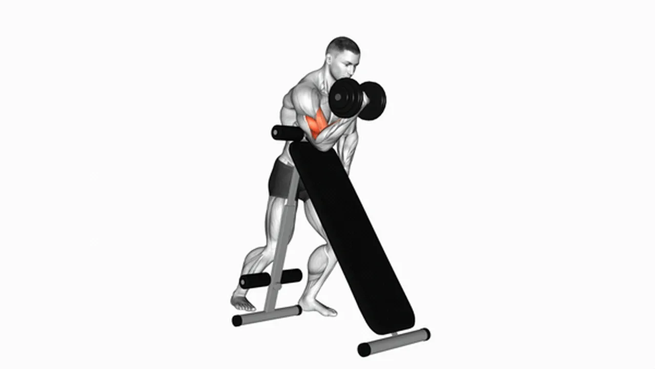 Common mistakes during dumbbell standing one-arm curls Image