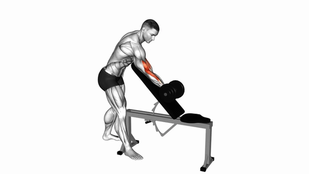 What are the benefits of the Dumbbell Standing One Arm Curl Over Incline Bench? Image