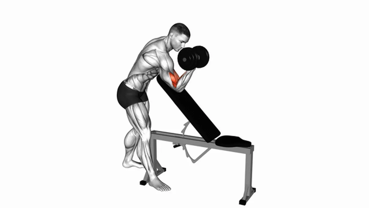 How to do the Dumbbell Standing One Arm Curl Over Incline Bench? Image