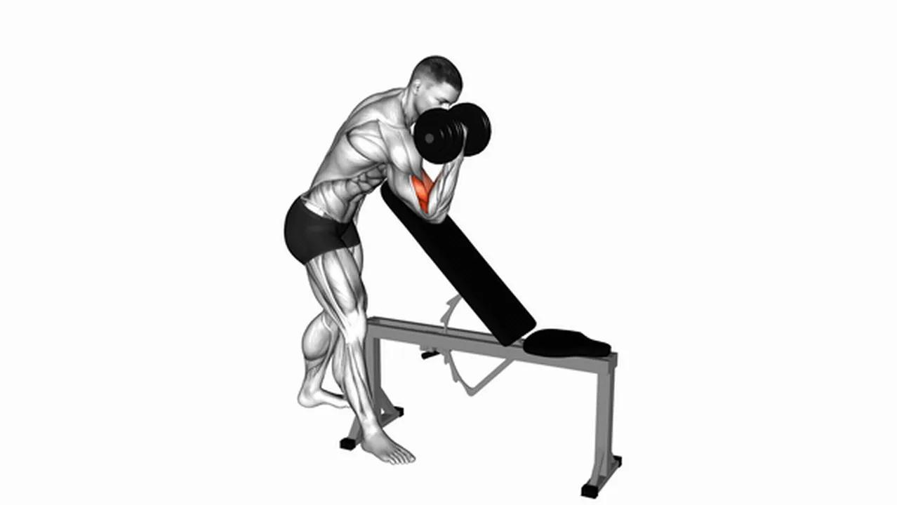 Common variations of the Dumbbell Standing One Arm Curl Over Incline Bench Image