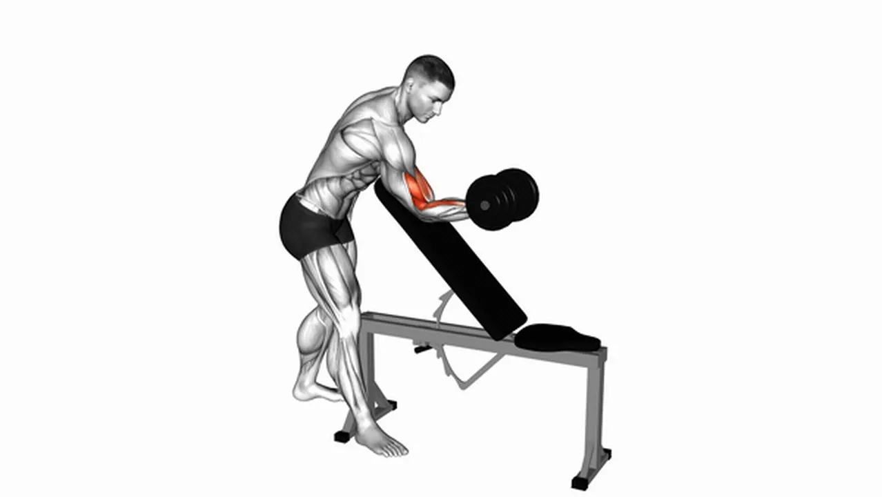 Common mistakes during the Dumbbell Standing One Arm Curl Over Incline Bench Image