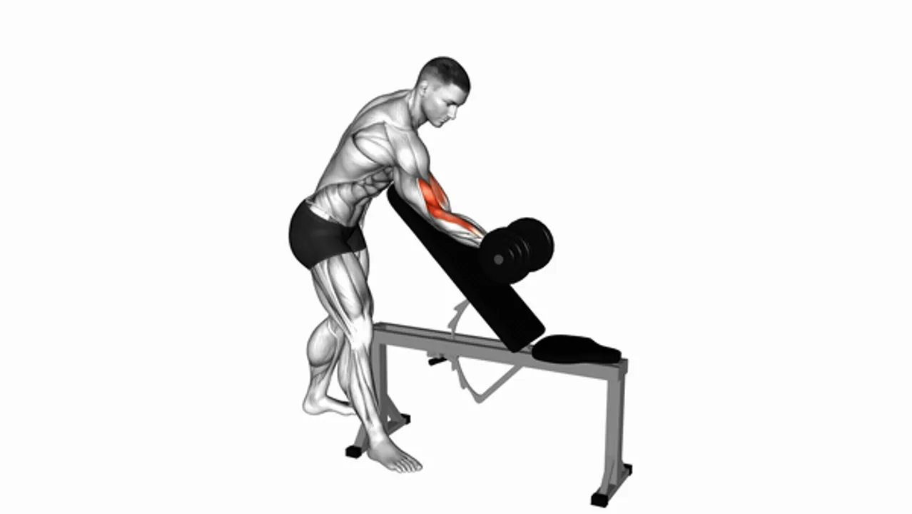 Dumbbell Standing One Arm Curl Over Incline Bench