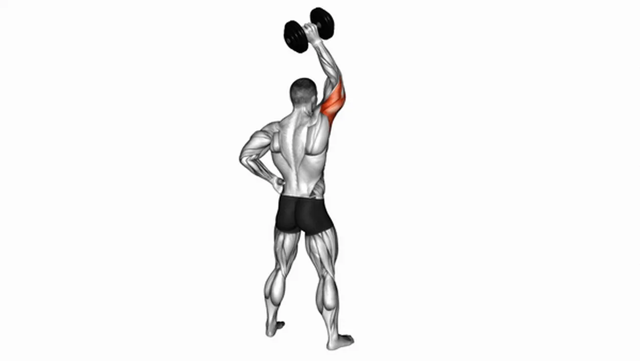 Alternatives to the Dumbbell Standing One Arm Extension Image