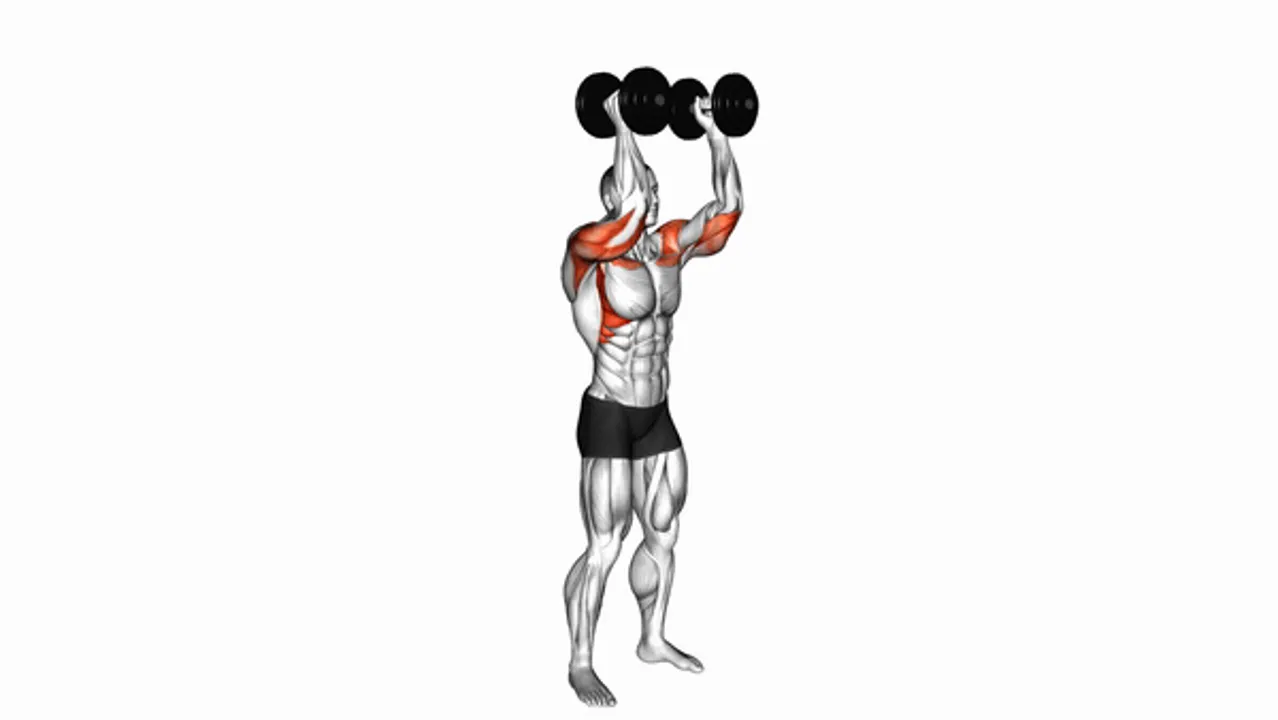 Dumbbell Standing Palms In Press