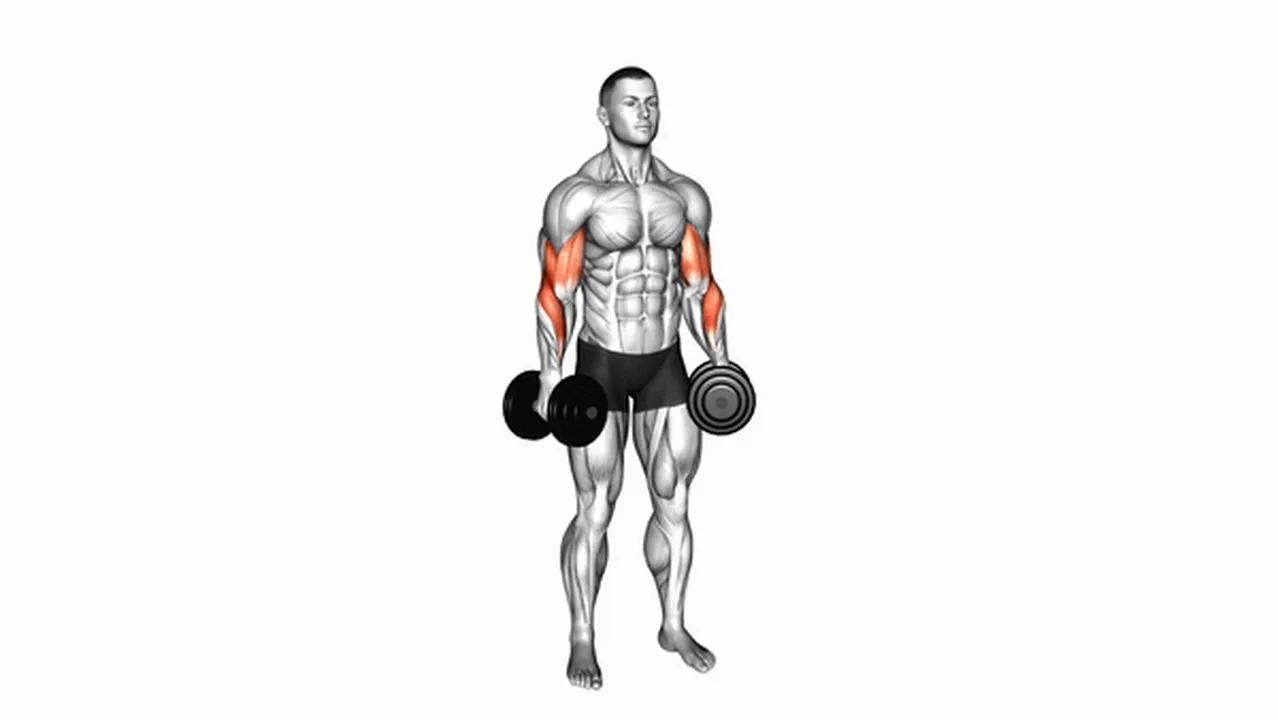 What are the benefits of Dumbbell Standing Reverse Curls? Image