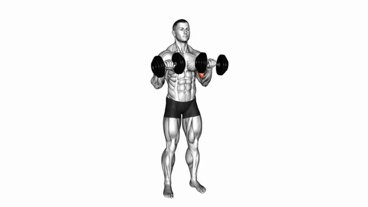 How to do Dumbbell Standing Reverse Curls? Image