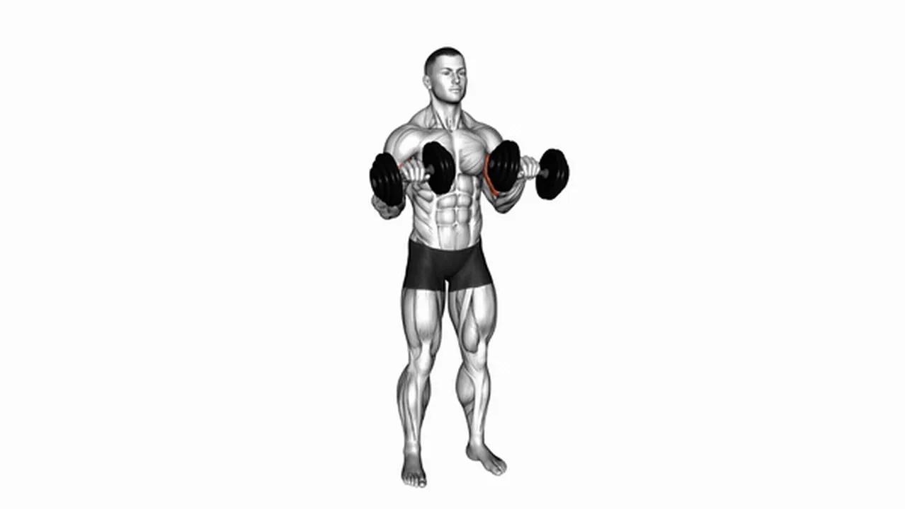 Common Dumbbell Standing Reverse Curl variations Image