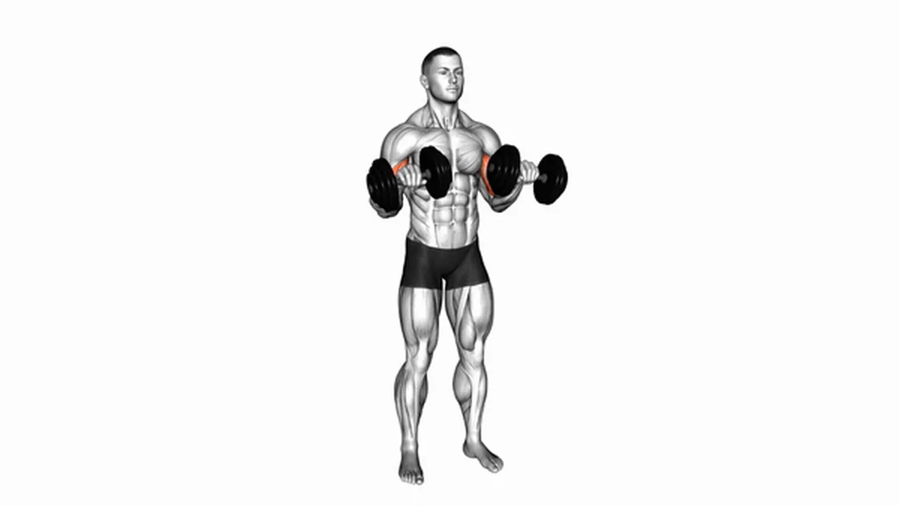 Alternatives to Dumbbell Standing Reverse Curls Image