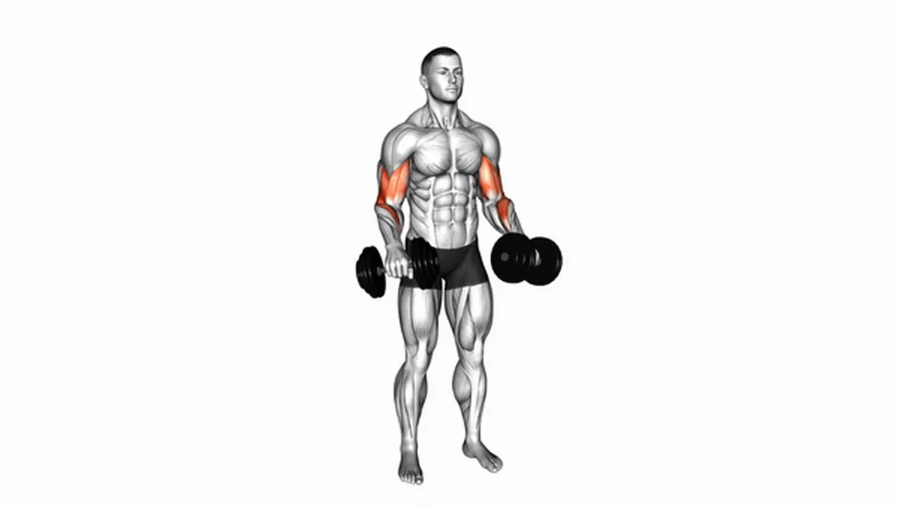 Common mistakes during Dumbbell Standing Reverse Curls Image