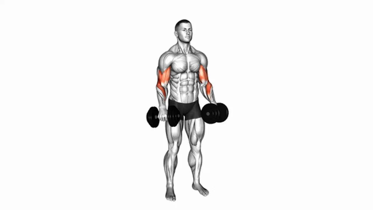 Dumbbell Standing Reverse Curl