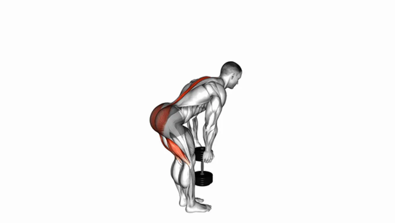 Dumbbell Stiff Leg Deadlift