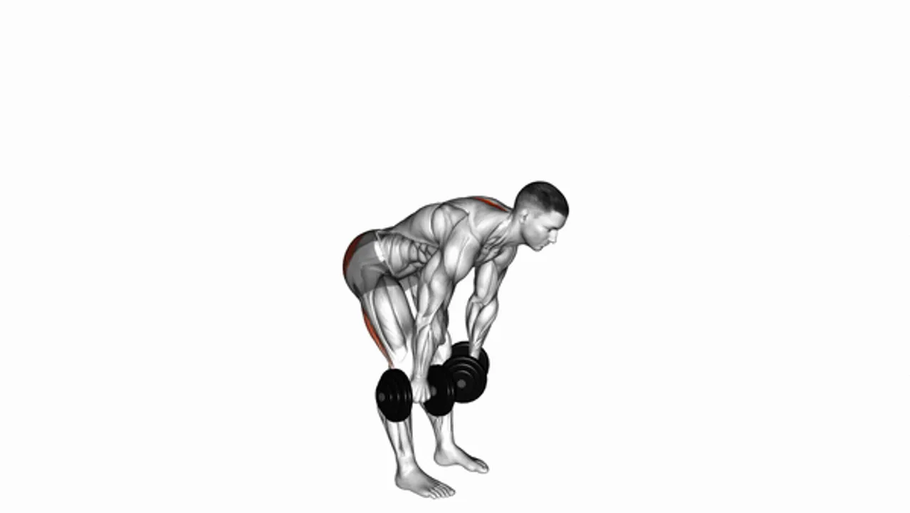 Dumbbell Straight Leg Deadlift