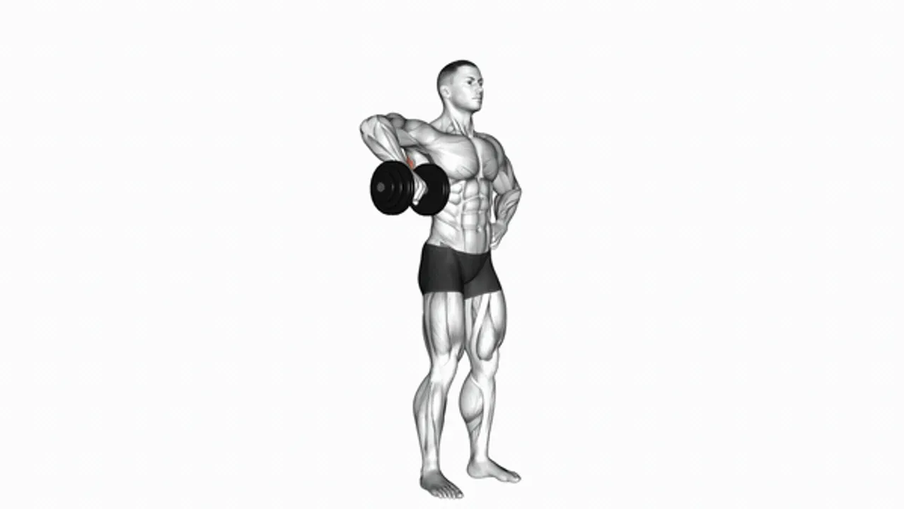 Dumbbell Upright Shoulder External Rotation